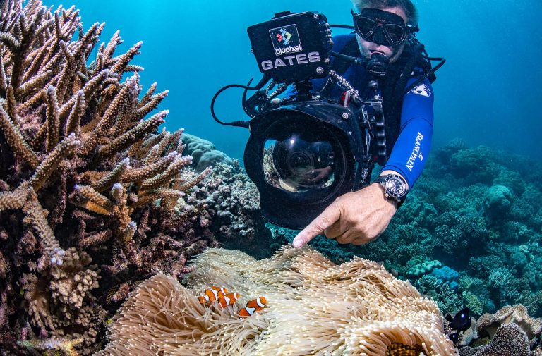 Blancpain and Biopixel announce a new partnership