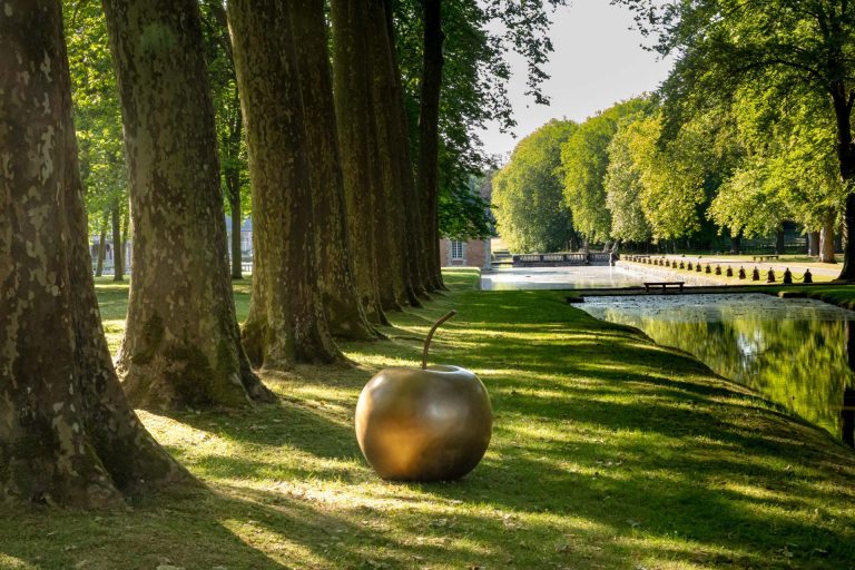 Auctions: Fall Starts