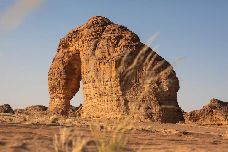 An Oasis Of Contemporary Art